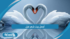 أجمل بيت شعر غزل