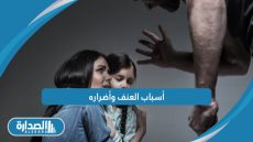 أسباب العنف وأضراره