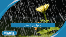أدعية عن المطر