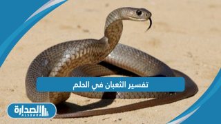 تفسير الثعبان في الحلم
