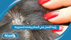 رؤية القمل في المنام وقتله للمتزوجة