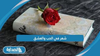 شعر في الحب والعشق
