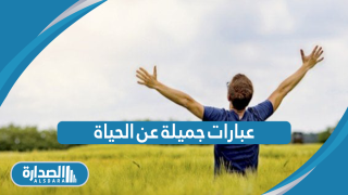 عبارات جميلة عن الحياة