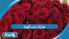 عبارات عن الورد