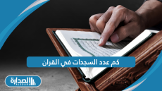 كم عدد السجدات في القران