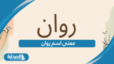 معنى اسم روان