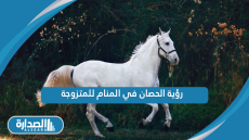 رؤية الحصان في المنام للمتزوجة