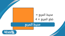 محيط المربع