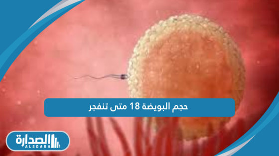 حجم البويضة 18 متى تنفجر