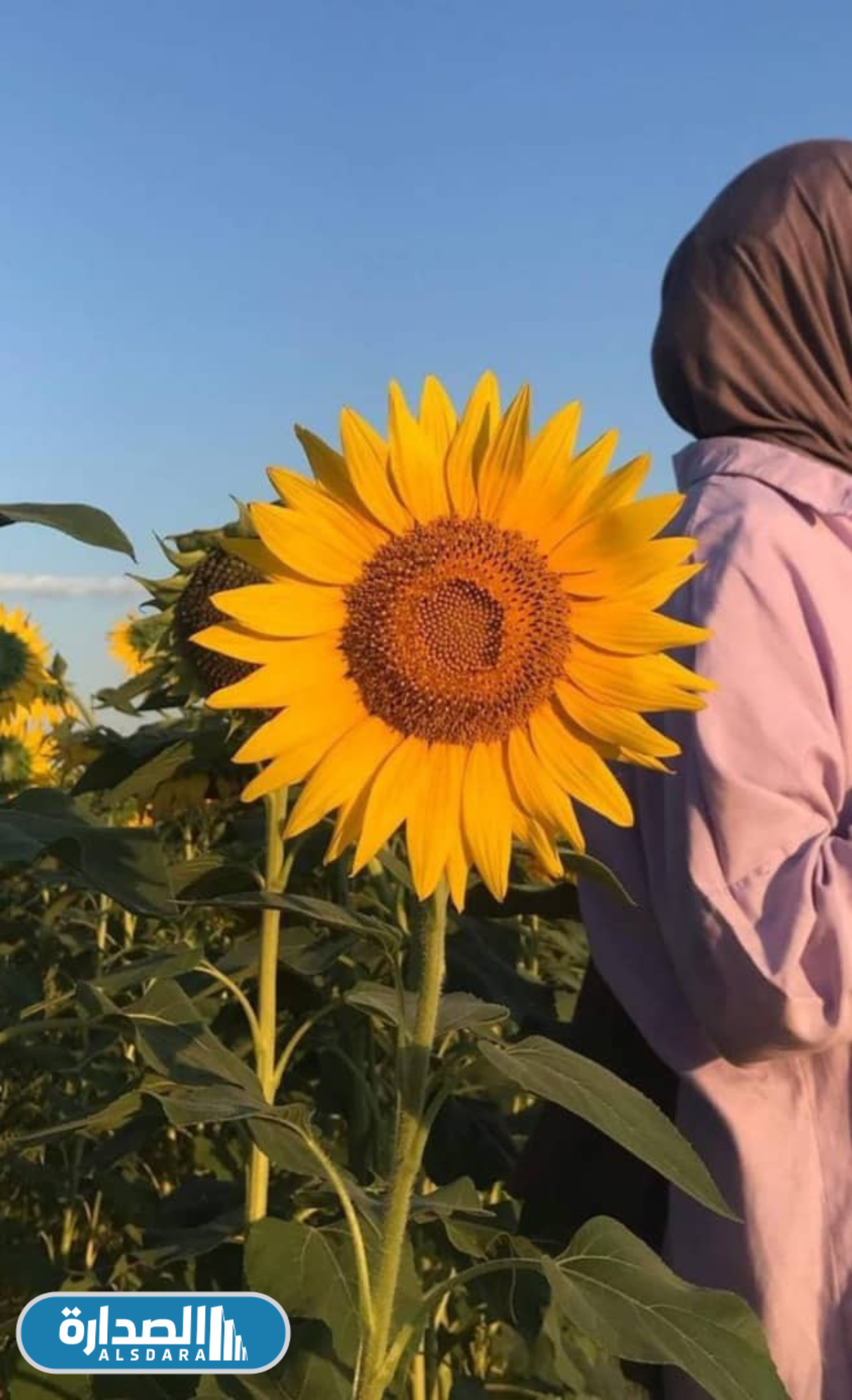 خلفيات بنات محجبات للموبايل بدون وجه