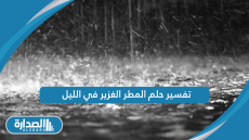 تفسير حلم المطر الغزير في الليل