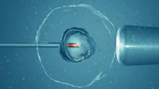 الحقن المجهري في مصر: دليلك الشامل لرحلة علاج تأخر الإنجاب مع مستشفى بداية