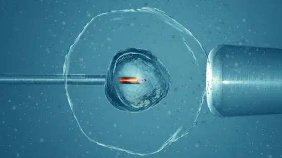 الحقن المجهري في مصر: دليلك الشامل لرحلة علاج تأخر الإنجاب مع مستشفى بداية